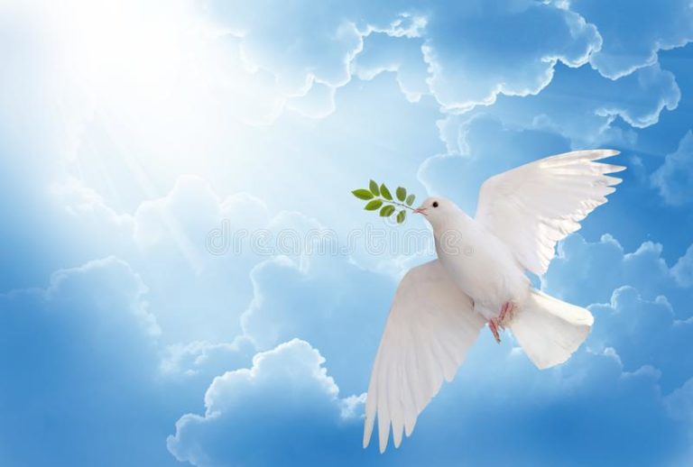 white-dove-holding-green-leaf-branch-flying-sky-free-international-day